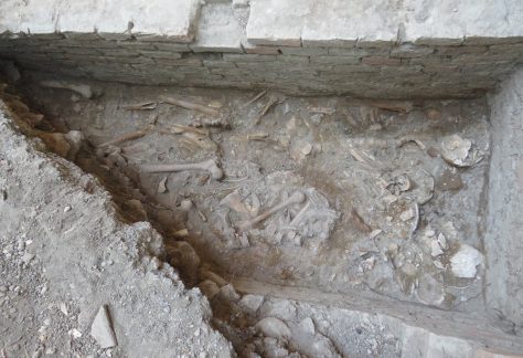 Analisi antropologiche_5