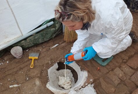 IMG_20260129_105215651