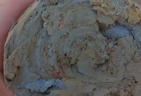 sezione carota