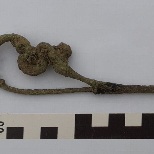 fig. 5_fibula